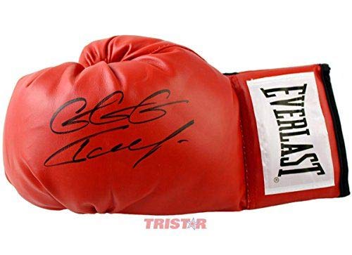 Gennady Golovkin GGG Signed Autograph Boxing Glove Red Tristar Authentic Certified