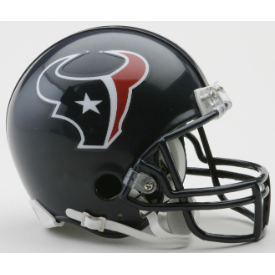 Houston Texans Mini Helmet